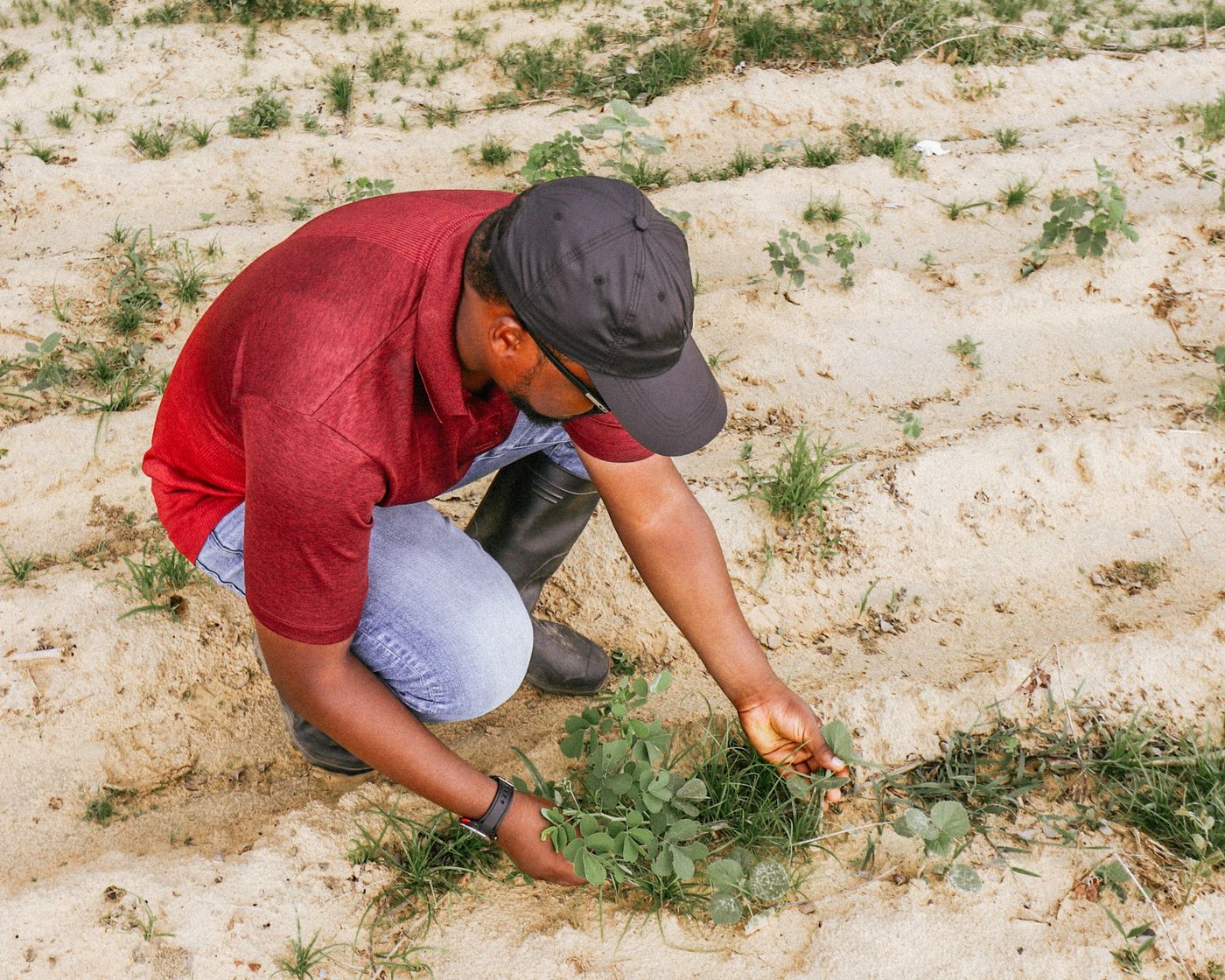Smallholder agriculture